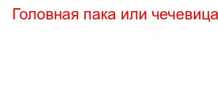 Головная пака или чечевица?